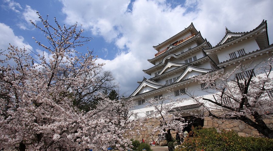 🖼️ 후쿠야마 미술관(후쿠야마 비주츠칸)